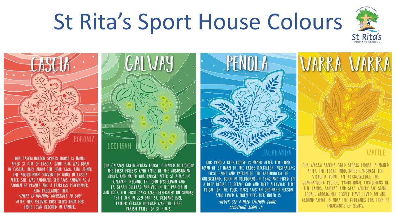 Sports house colour infographic presenting Cascia Galway Penola and Varra Varra representing student belonging teamwork and school identity