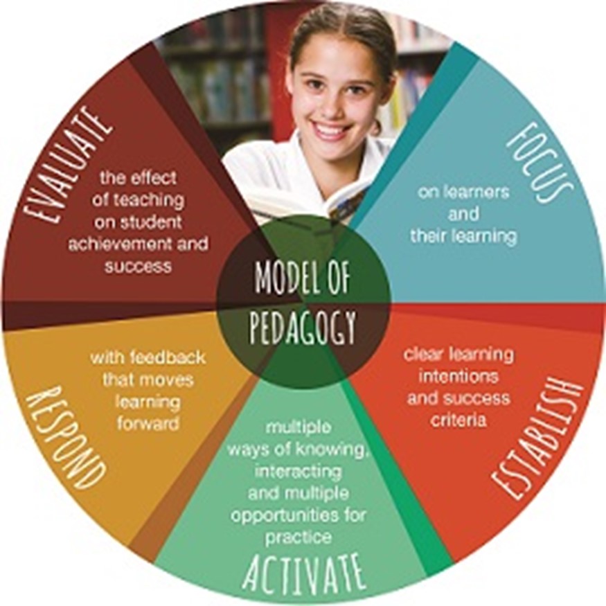 Model of pedagogy diagram outlining focus establish activate respond and evaluate to guide effective teaching and improve student learning outcomes